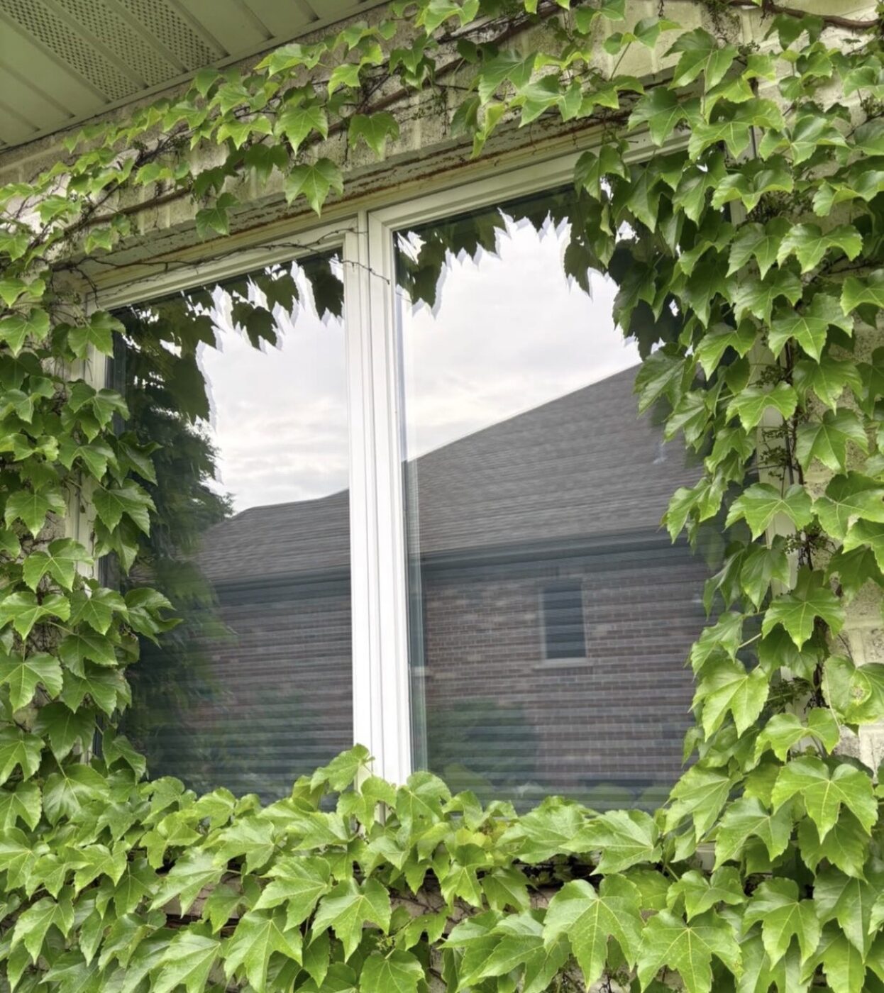 Ultra View technician cleaning a second-story window